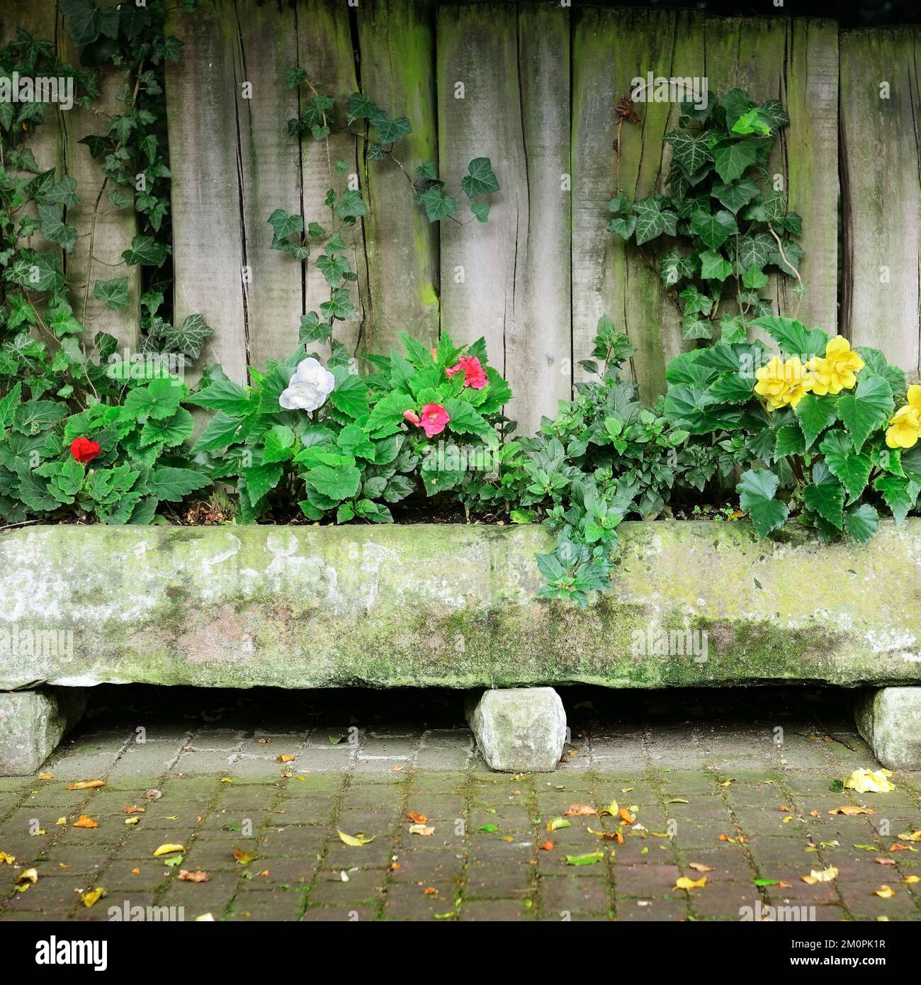 Flower bed near board fence Stock Photo Alamy