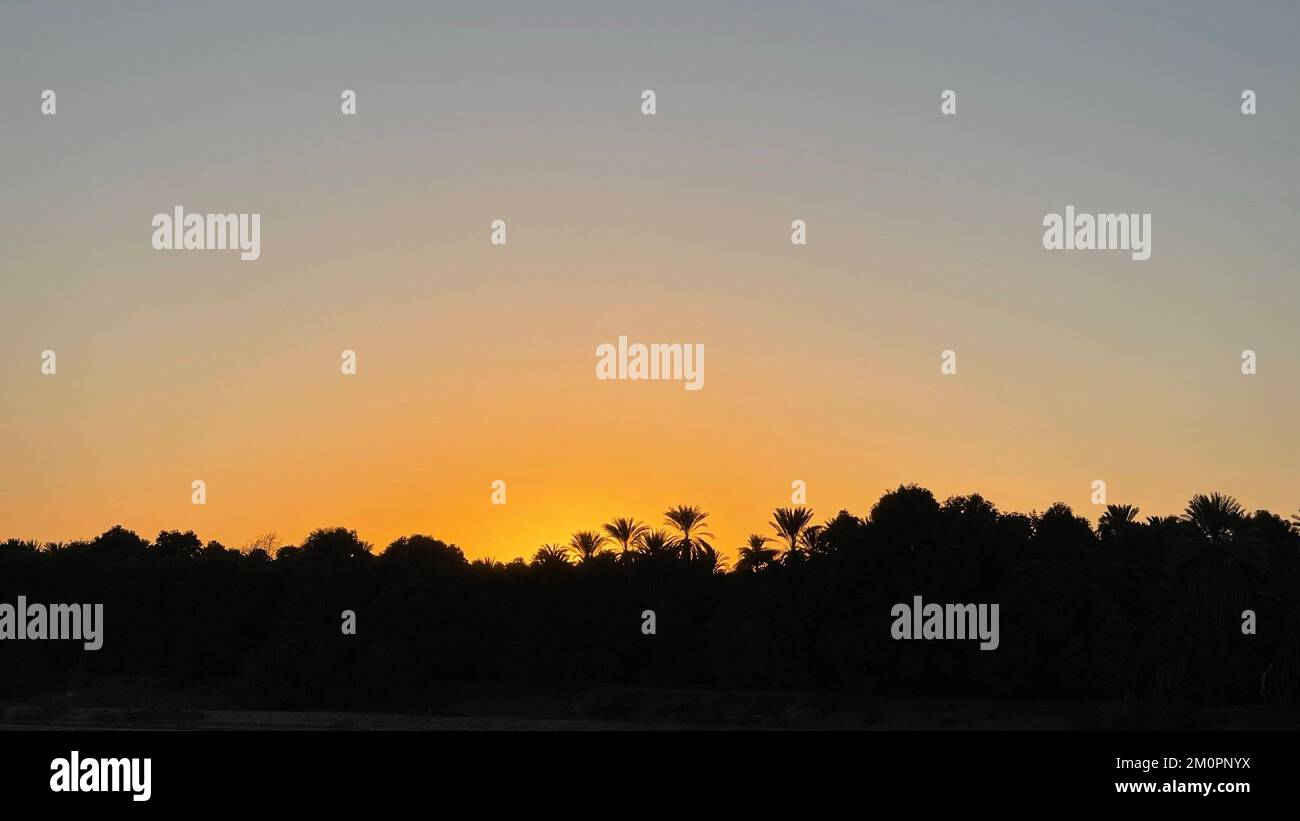 A silhouette of forest trees under a glowing sunset sky Stock Photo - Alamy