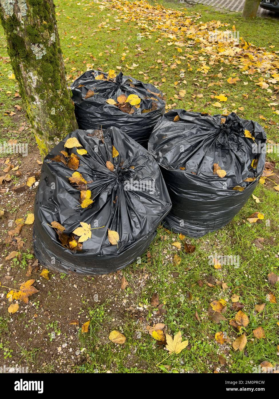 Three big blacks trash bags in front of wall Stock Photo - Alamy