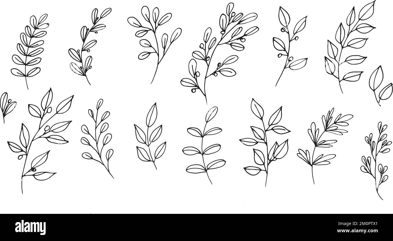Set of graphic vector black plant branches with leaves and berries ...