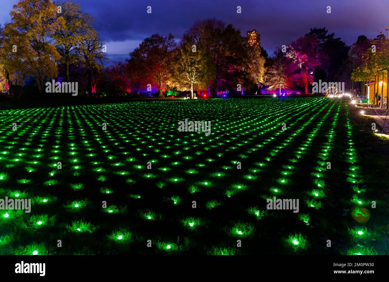 A lawn of green lights at the 2022 annual Christmas Glow event at RHS Garden Wisley, Surrey, south-east England, with colourful illuminations at night Stock Photo