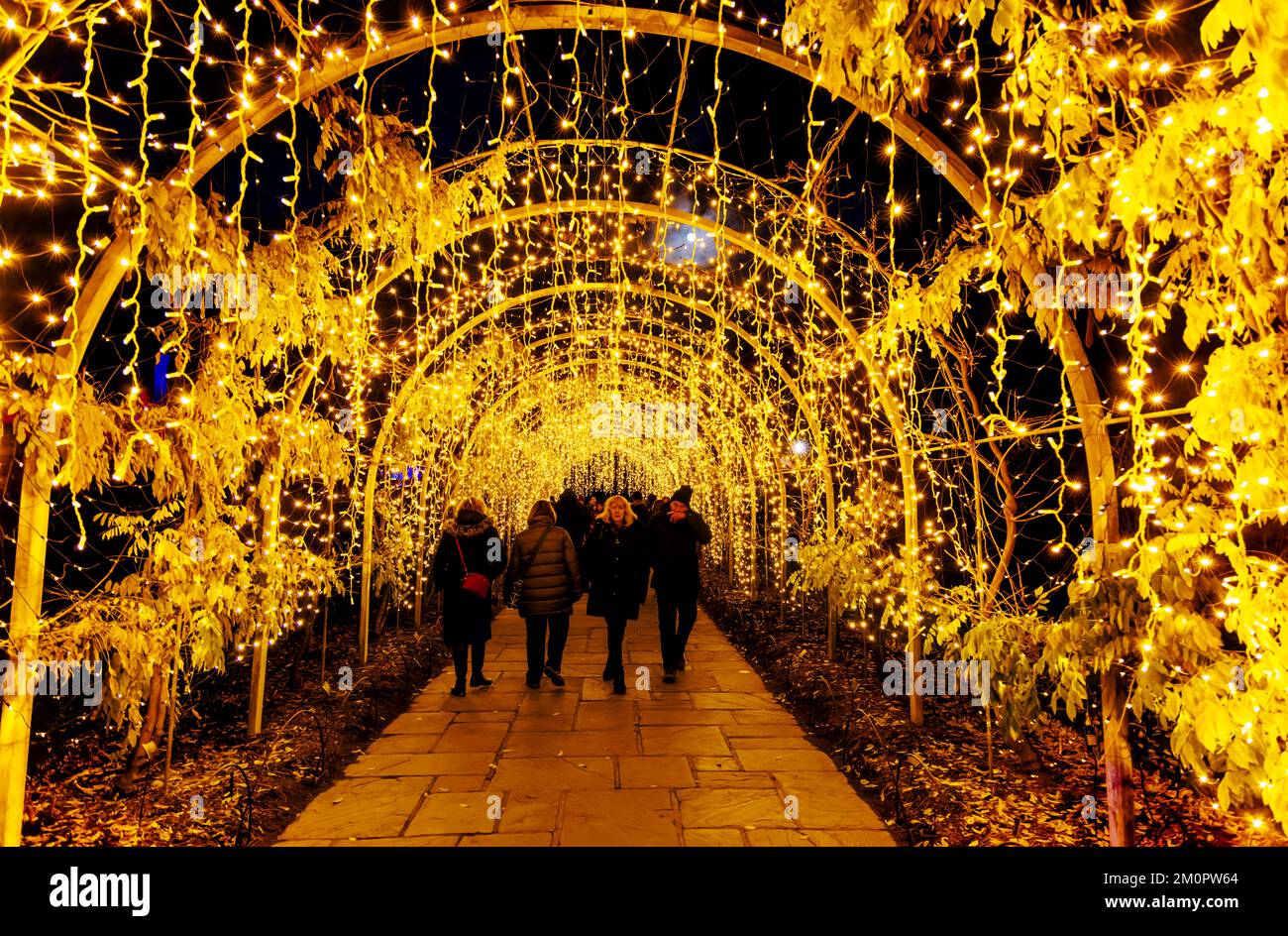 Arch of lights at the 2022 annual Christmas Glow event at RHS Garden