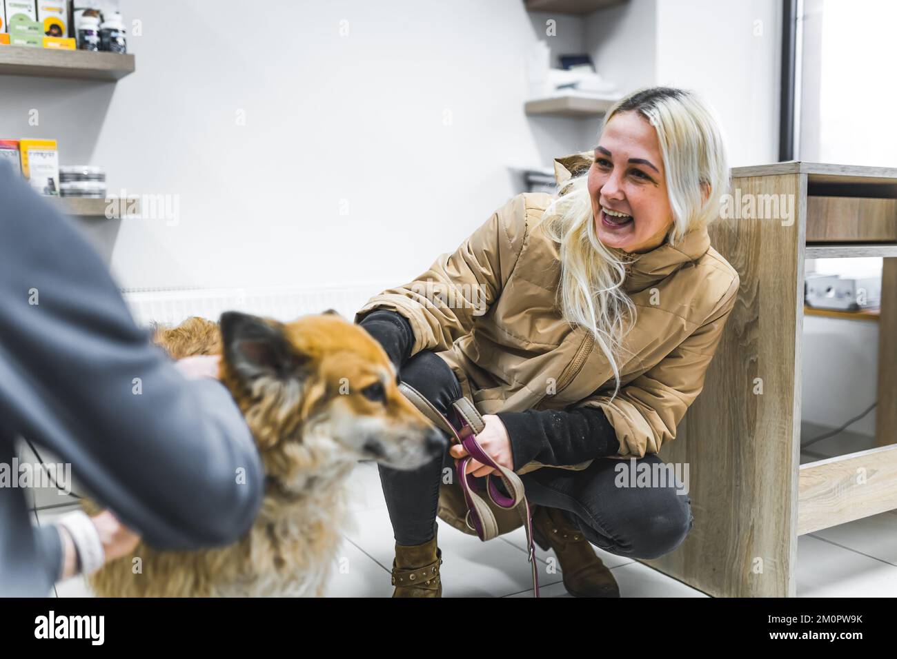 A dog during health exam with his female owner at a veterinary clinic. High quality photo Stock Photo