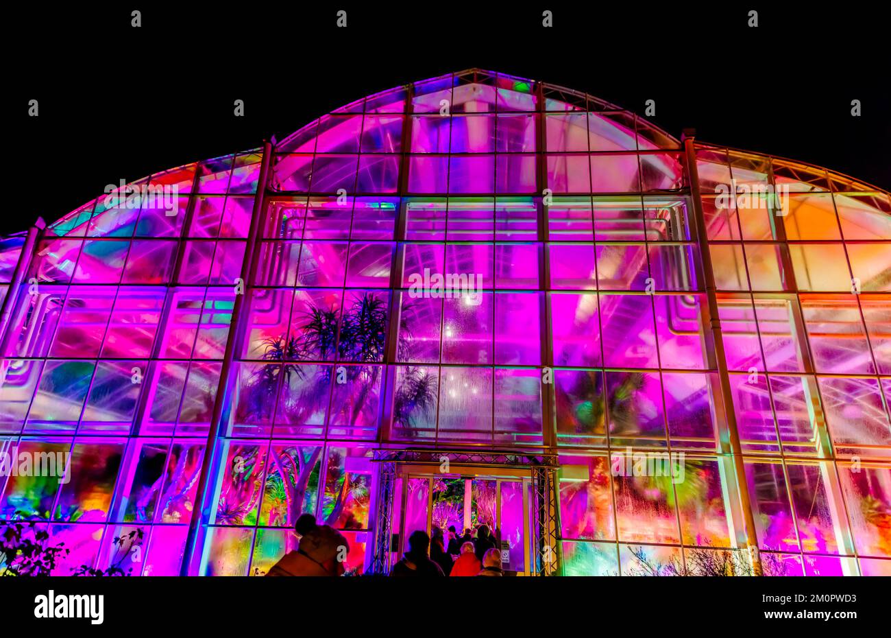 The Glasshouse illuminated in the 2022 annual Christmas Glow event, RHS Garden Wisley, Surrey, with colourful illuminations at night Stock Photo