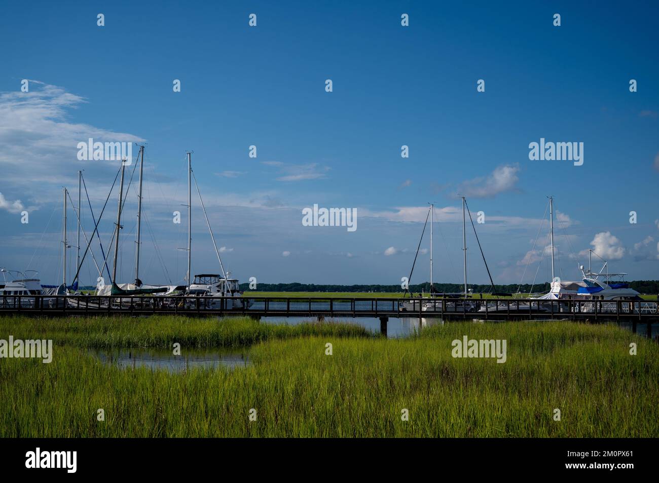 A scenic view of yatch moored and green grasses on the swapy dock Stock ...