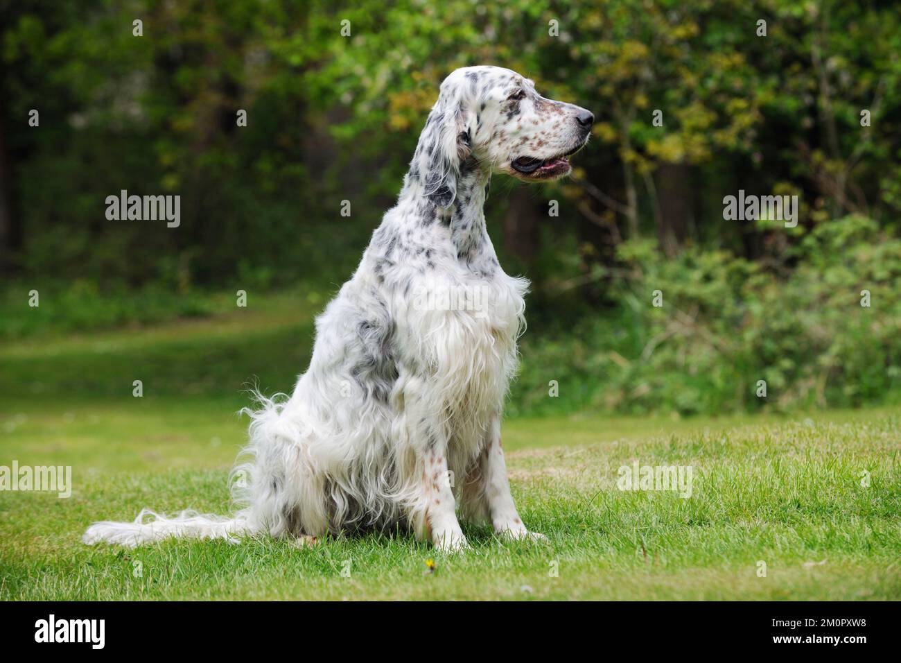 Sitting down hires stock photography and images Alamy