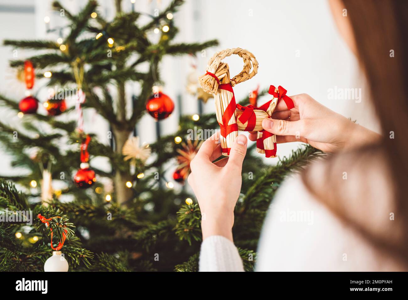 Putting lights on a christmas tree hires stock photography and images Alamy