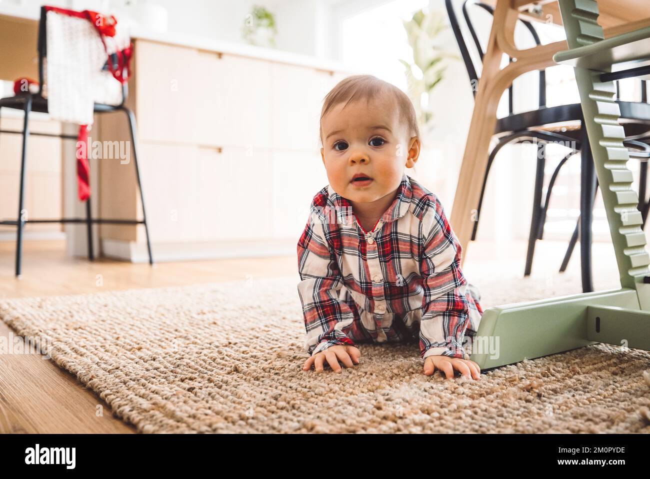 Crawl Under Rugs Cute baby girl crawling on the rug in the dining room Stock Photo - Alamy