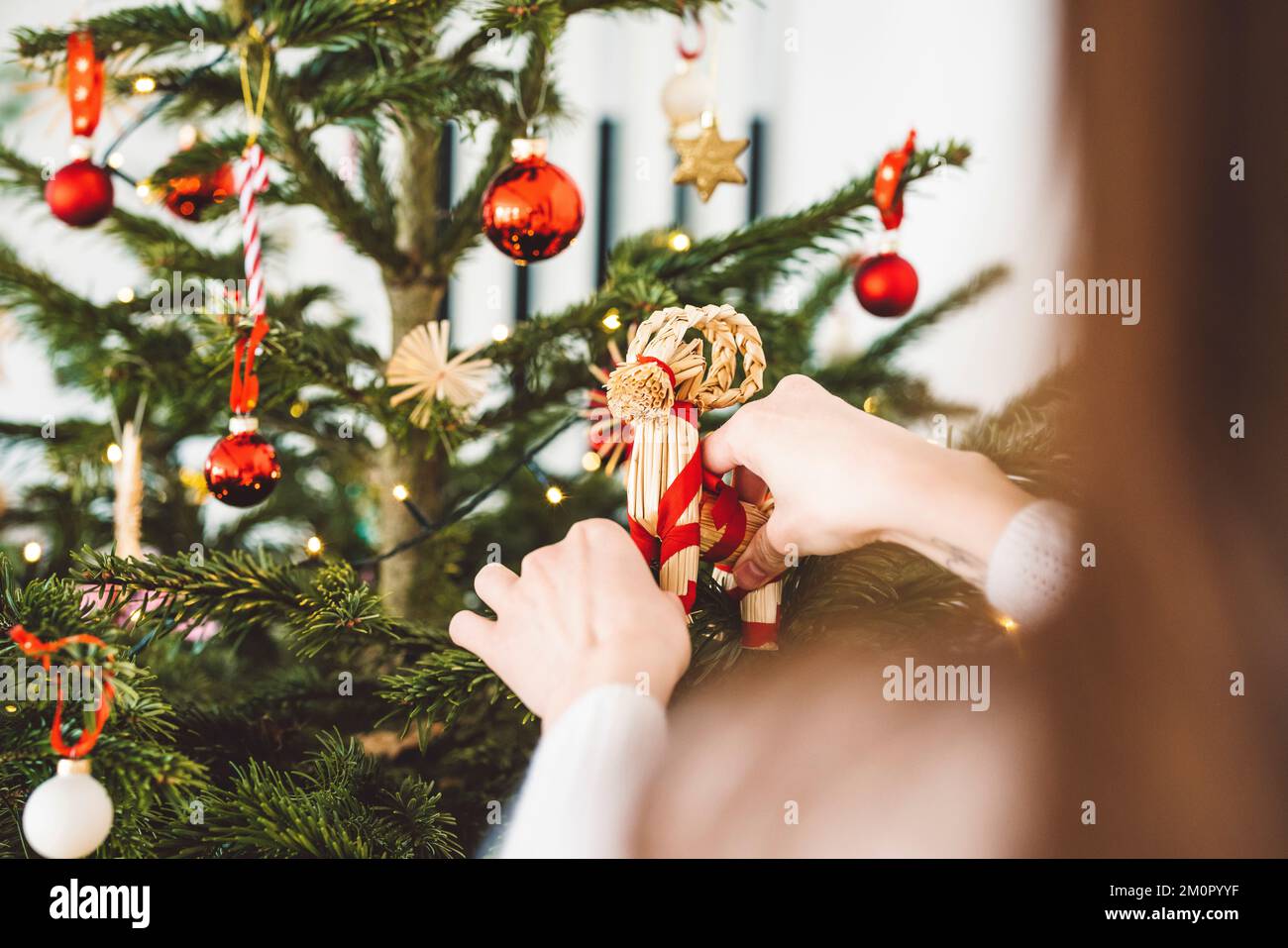 Putting lights on a christmas tree hires stock photography and images