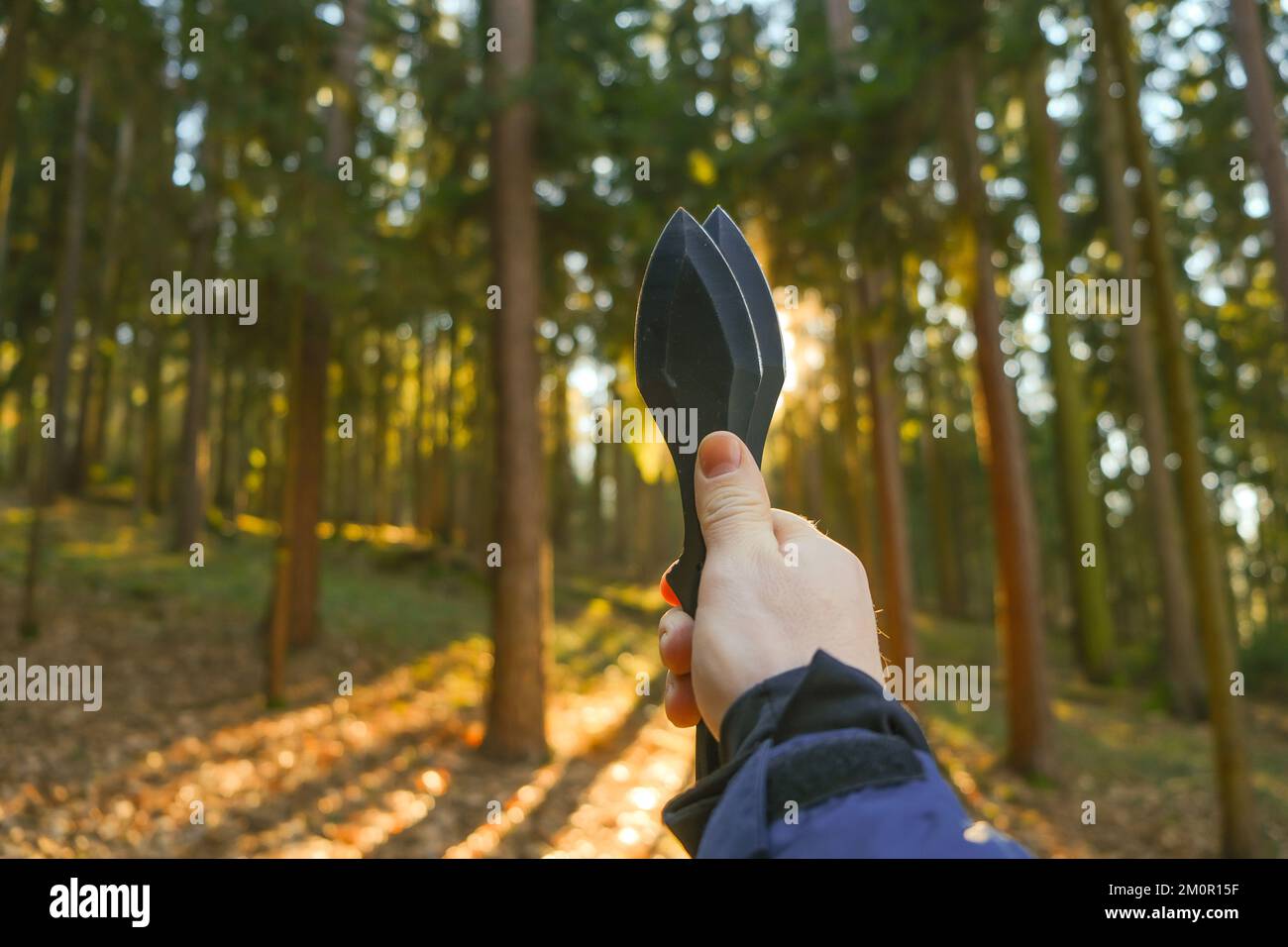 Throwing knives. metal knives for throwing in a hands on a fir forest