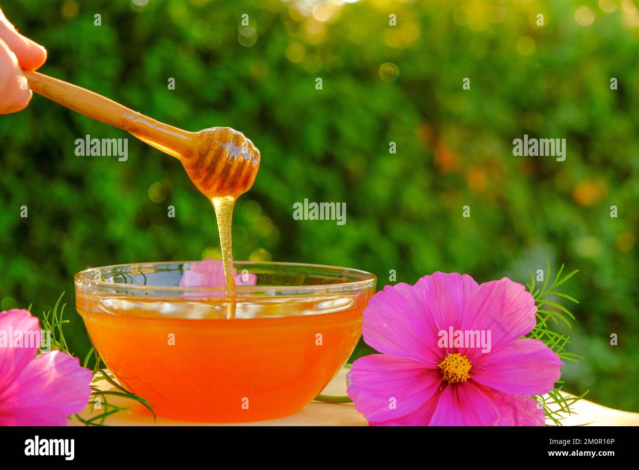 flower honey with pink flower.Healing dessert. honey flows down from a