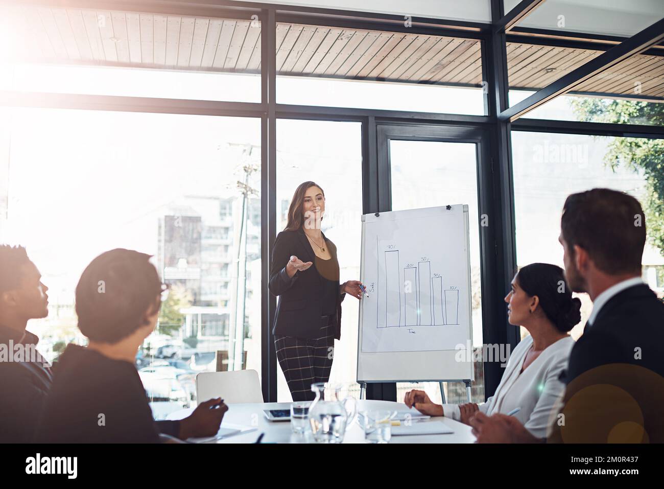 Their actions are in line with their goals. businesspeople having a meeting in the boardroom. Stock Photo