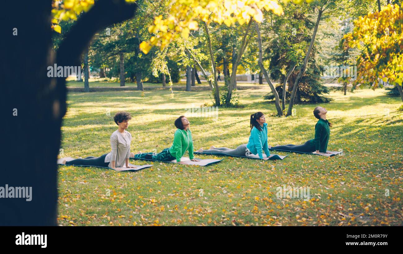 Asanas In Group Active young people females are doing yoga practising sequence of ...