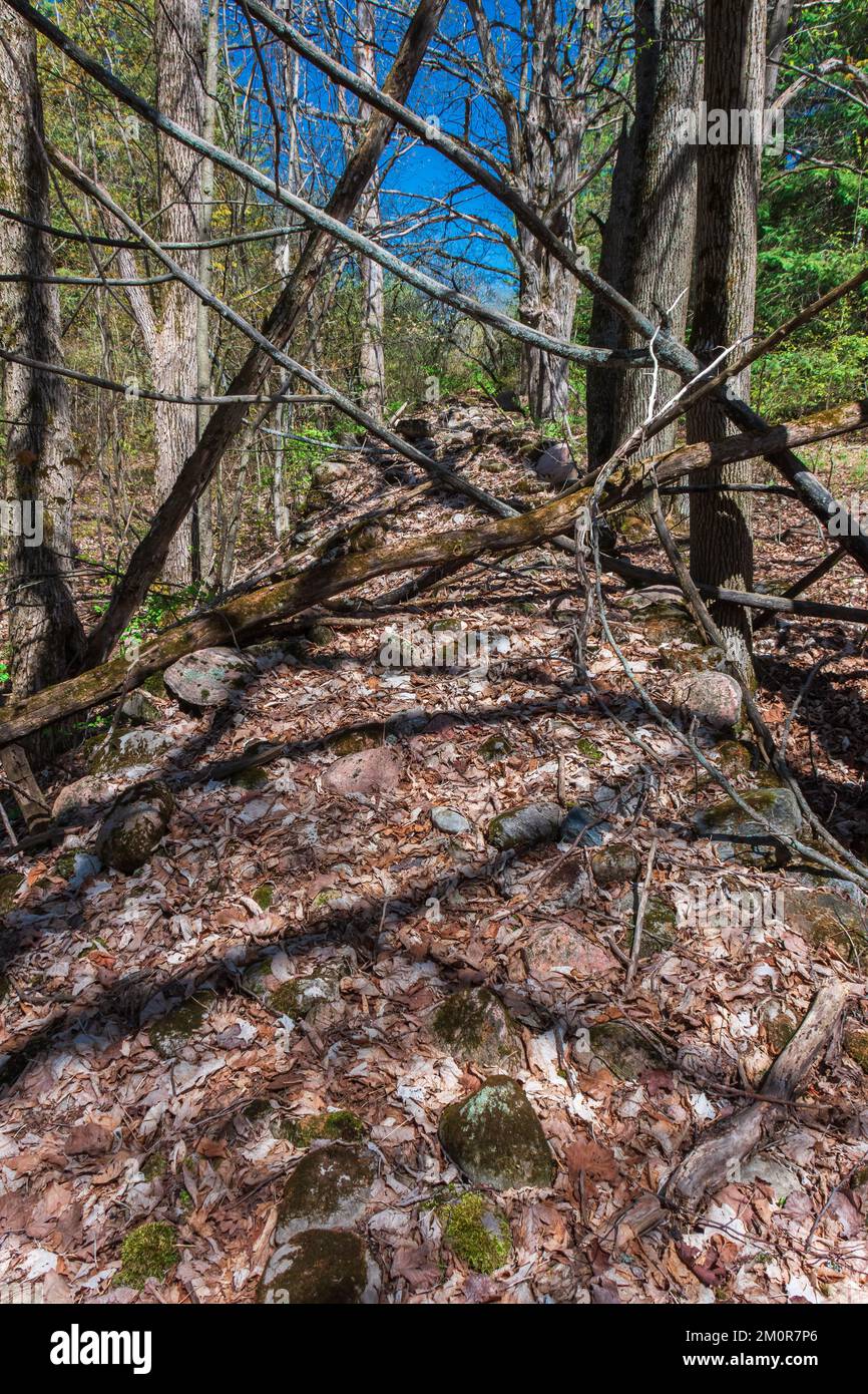 Cavan Conservation Area Peterborough Ontario Stock Photo - Alamy