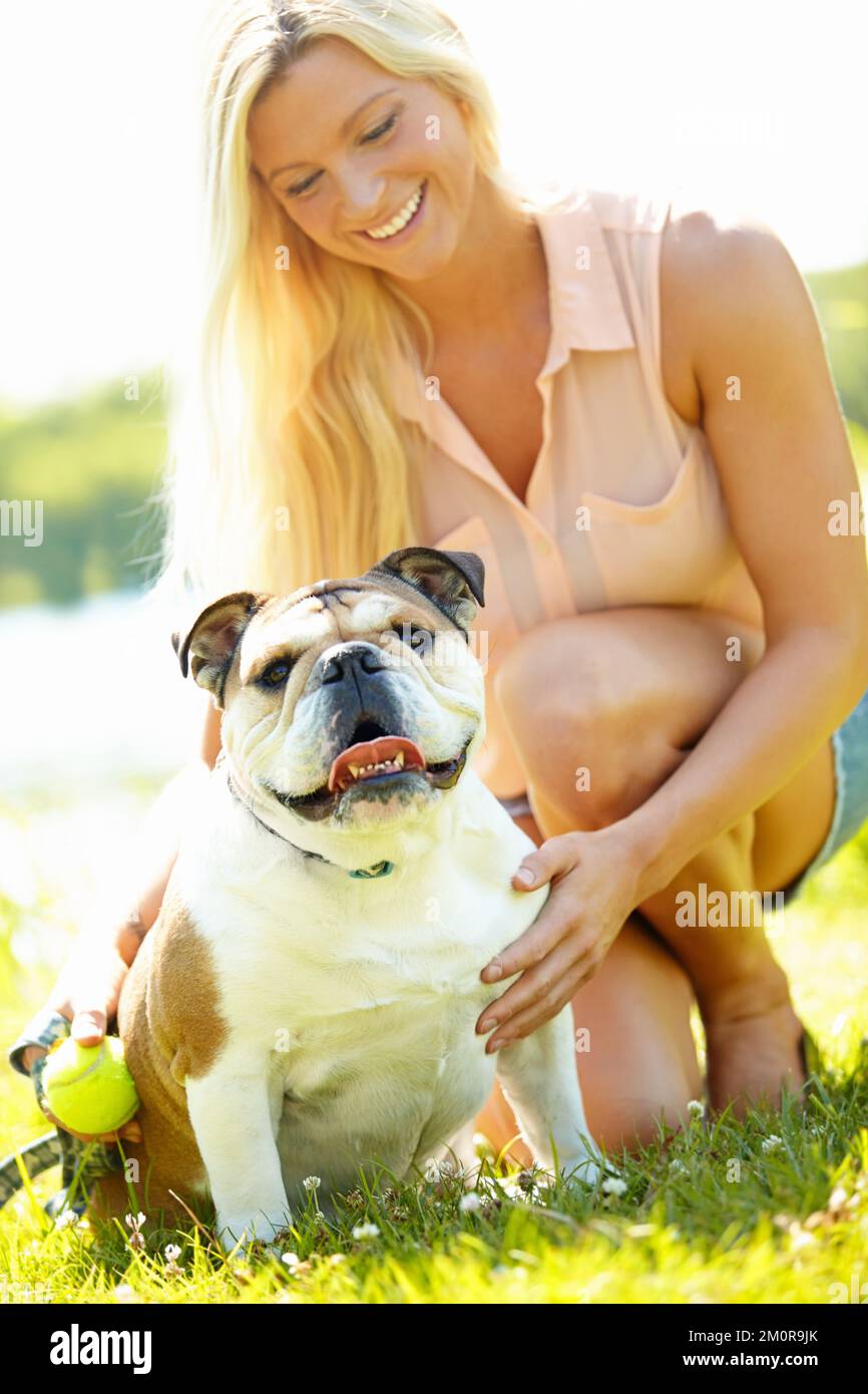 I look after my dog. A dog looking at the camera while his owner looks at him lovingly. Stock Photo