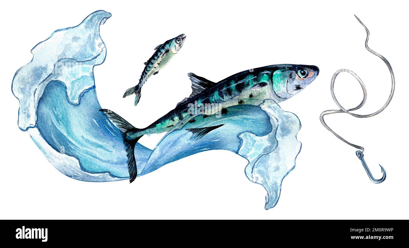 Banner of mackerel and sea wave watercolor illustration isolated on white.  Fresh Atlantic fish, fish hook hand drawn. Design element for package, labe  Stock Photo - Alamy