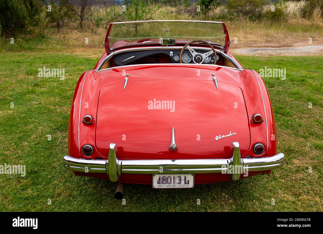 Rear view of a 1952 Austin Healey 100 Roadster Stock Photo