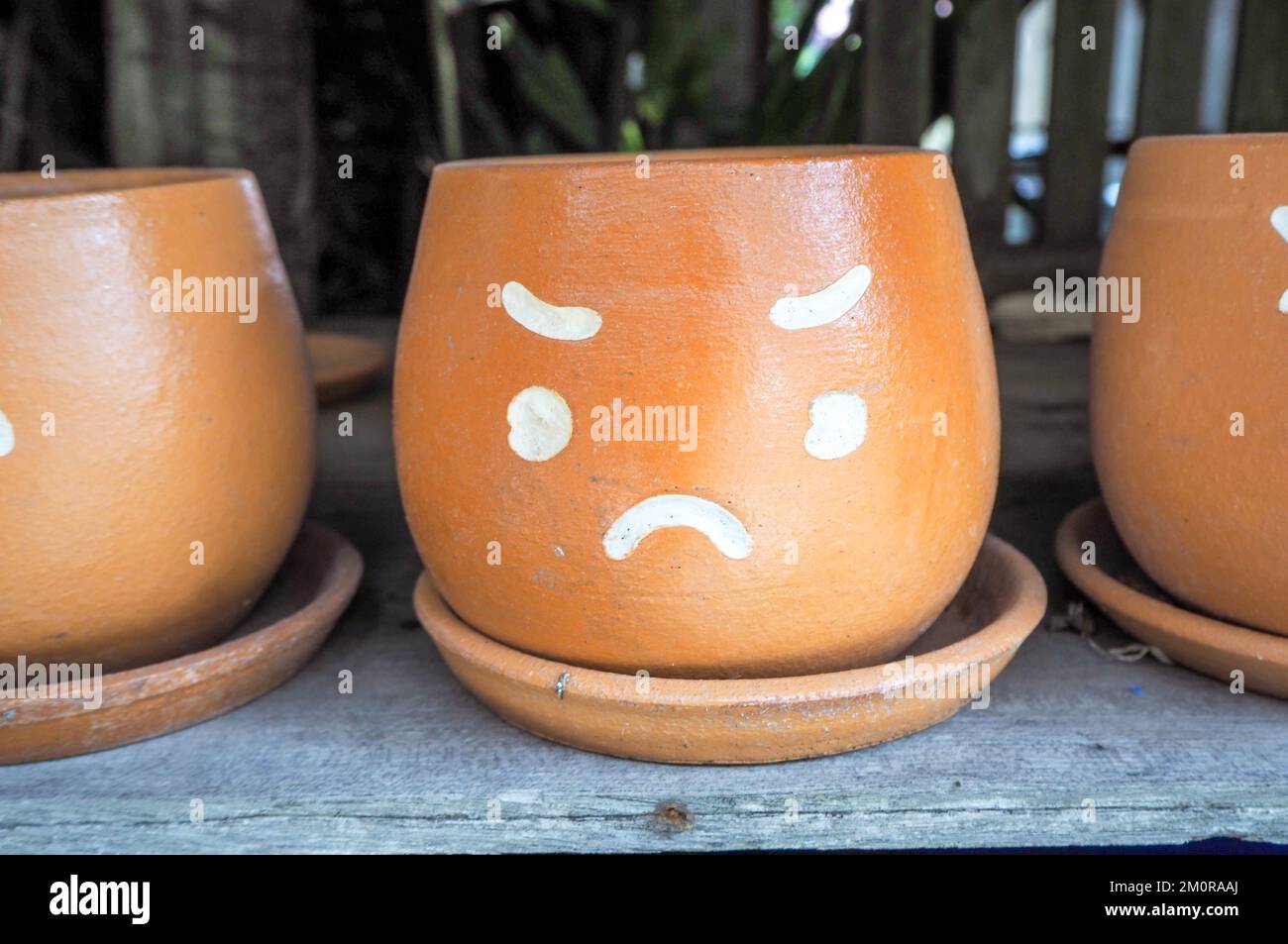 Flower pot with faces showing feelings Stock Photo - Alamy