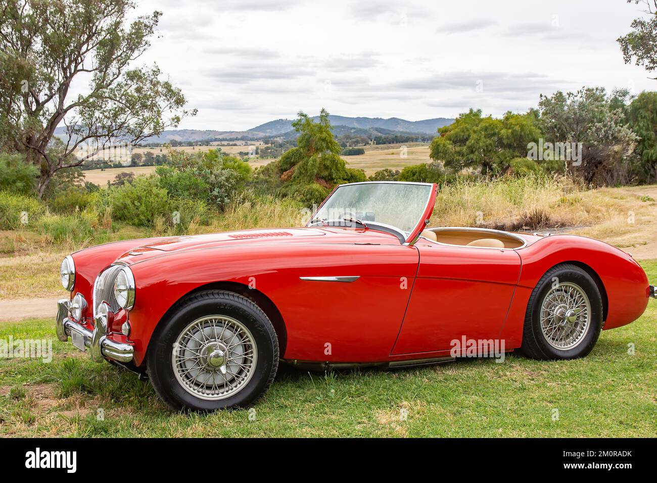 Side view of a 1952 Austin Healy 100 Roadster. Stock Photo