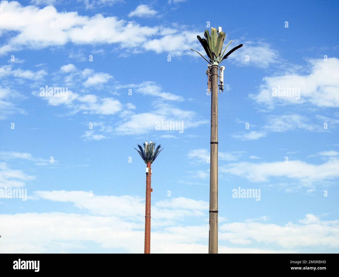 cell phone tower in Egypt or cellular phone antenna disguised on fake