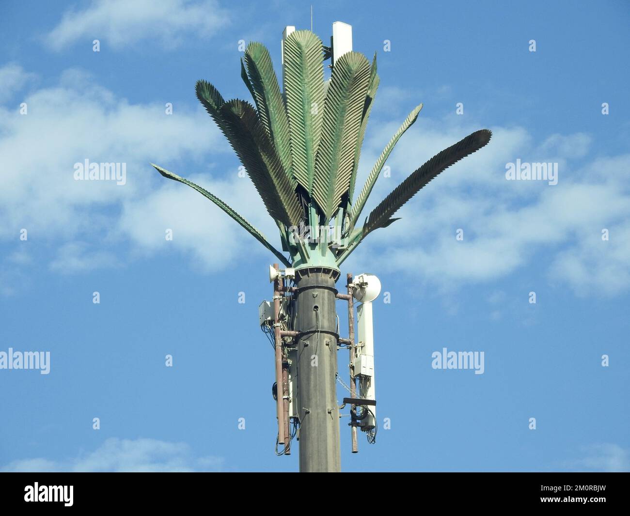 cell phone tower in Egypt or cellular phone antenna disguised on fake