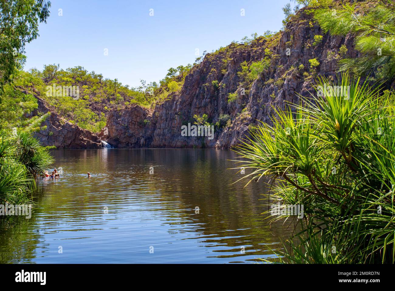 View of the Edith Falls and natural pool of the Leliyn area in the Nitmilik National Park, Northern Territory, Australia Stock Photo