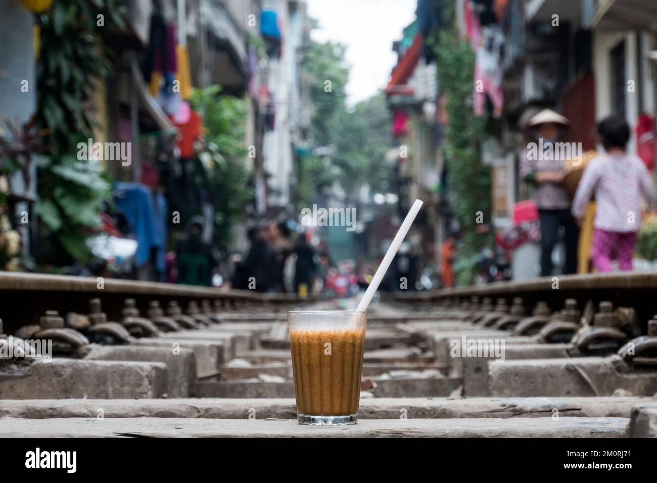 Hanoi Brown