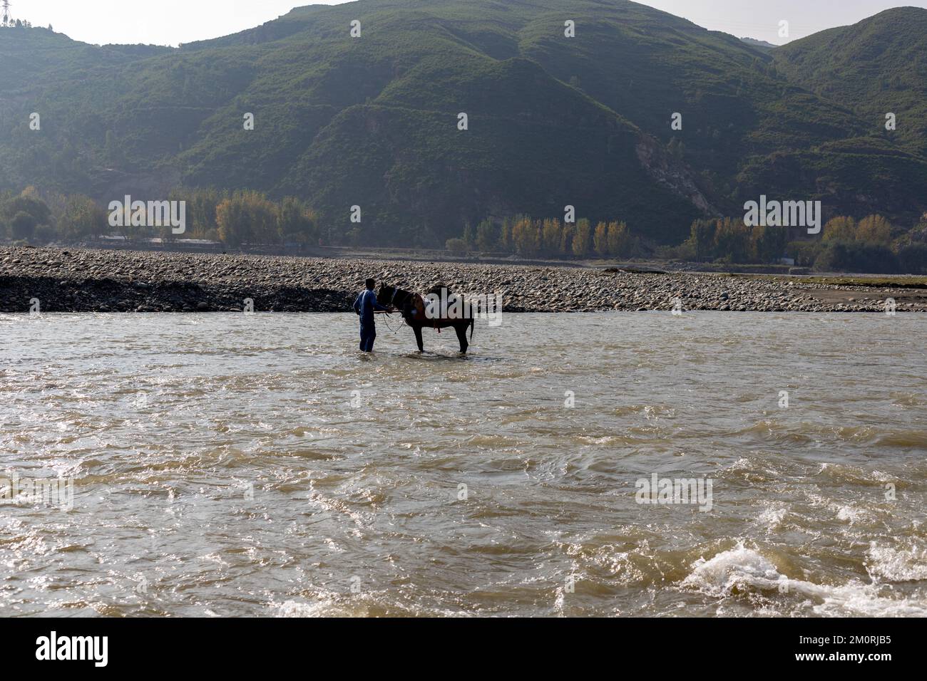 Bringing river sand from the middle of the river flowing water on the back of a horse for construction uses Stock Photo