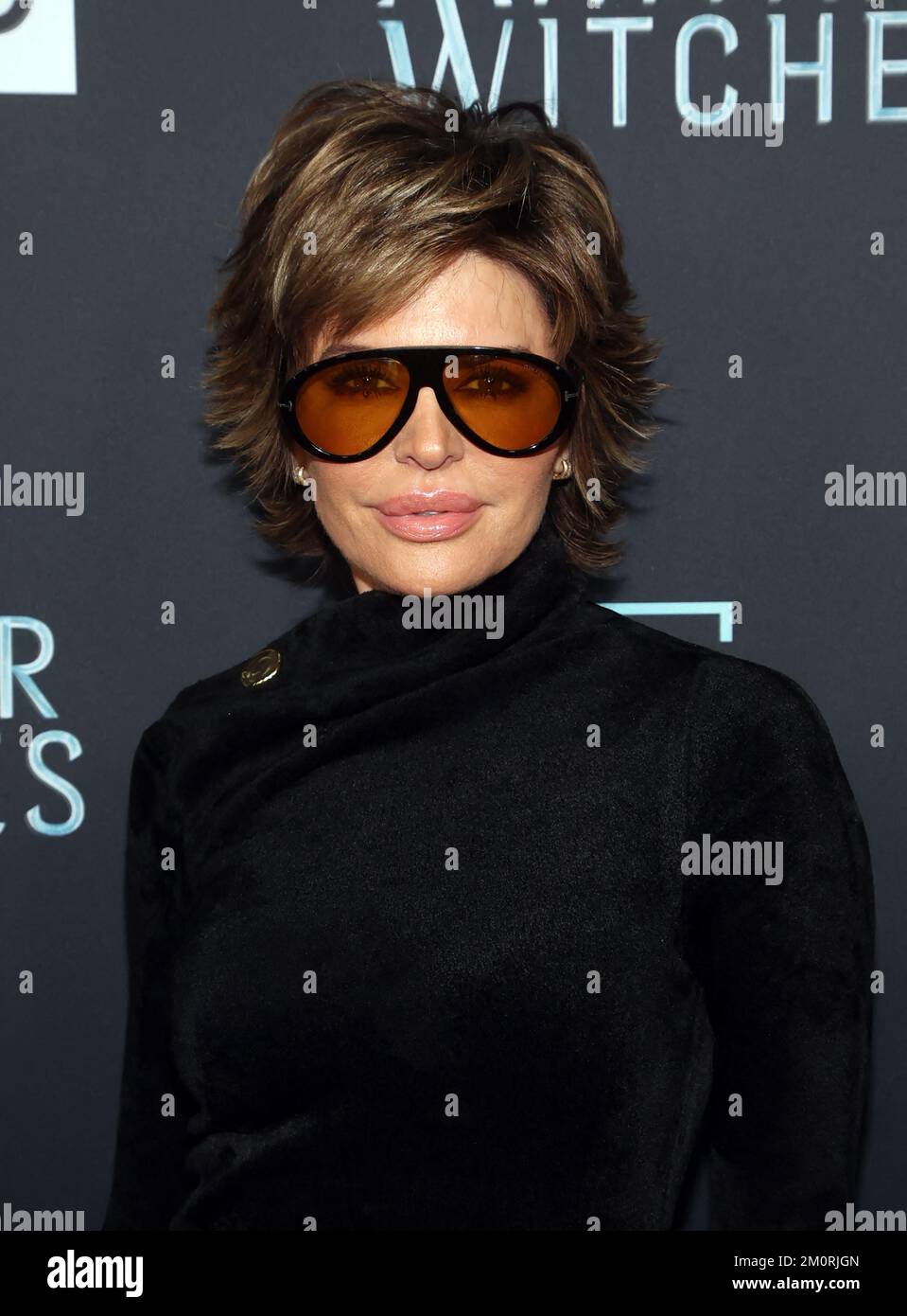Los Angeles, CA, USA on December 1, 2022. Lisa Rinna, at Los Angeles ...