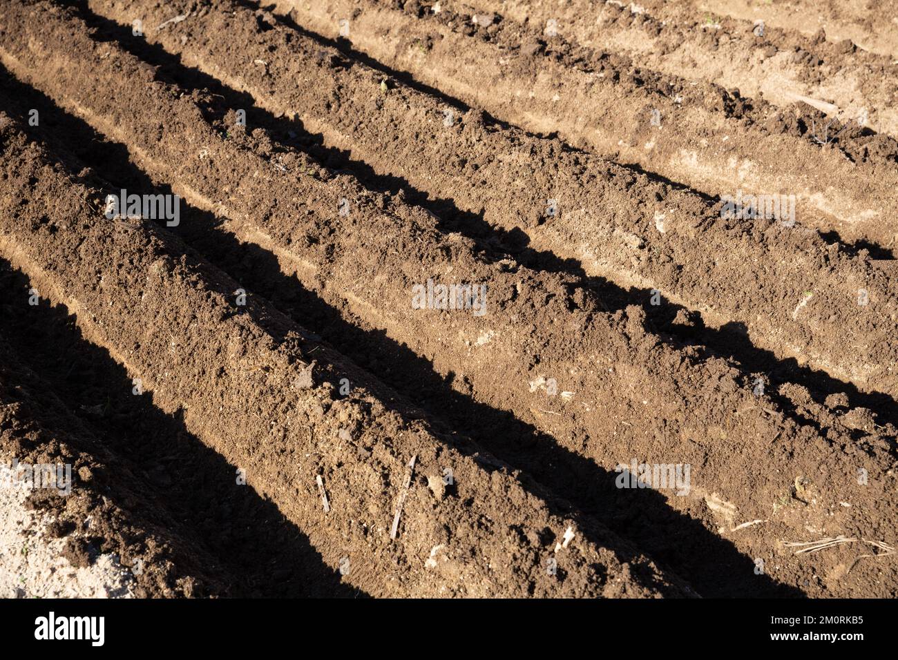 Empty garden bed hi-res stock photography and images - Alamy
