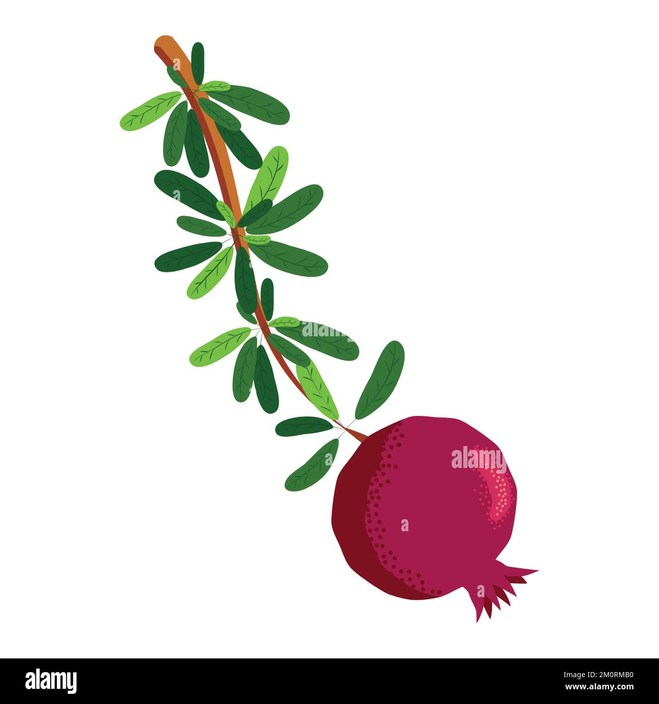 Pomegranate branches with fruits and flowers. Symbol of good luck