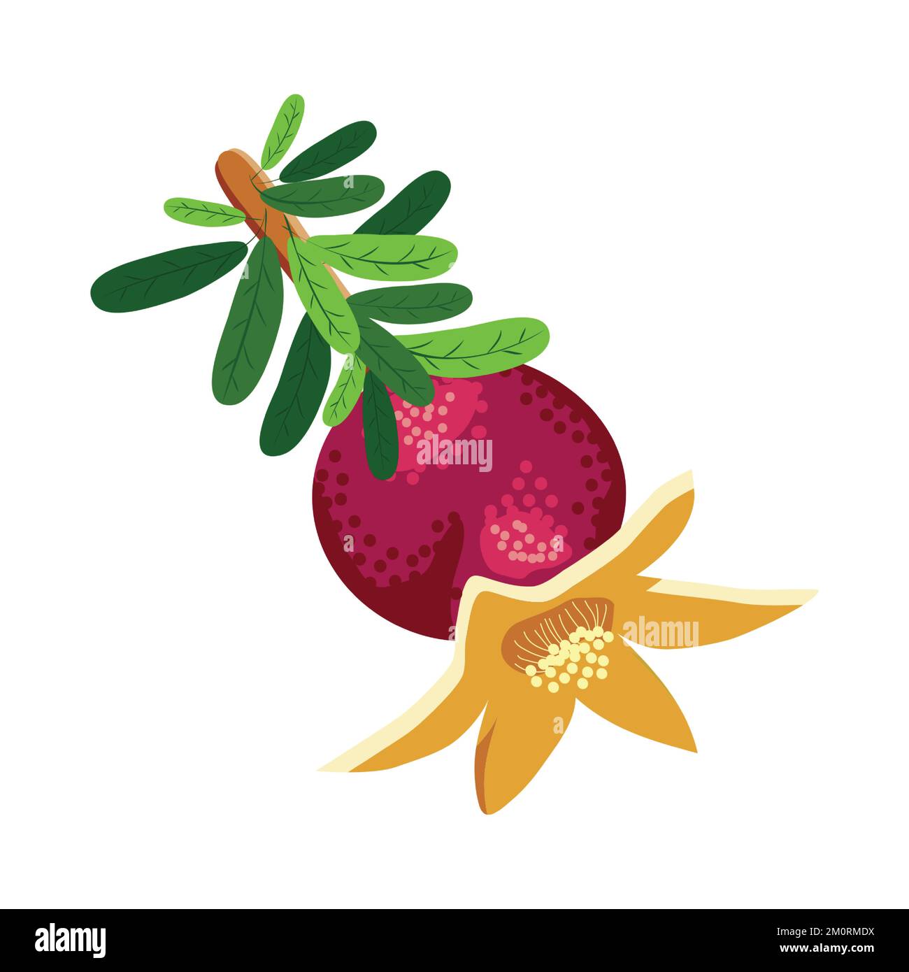 Pomegranate branches with fruits and flowers. Symbol of good luck
