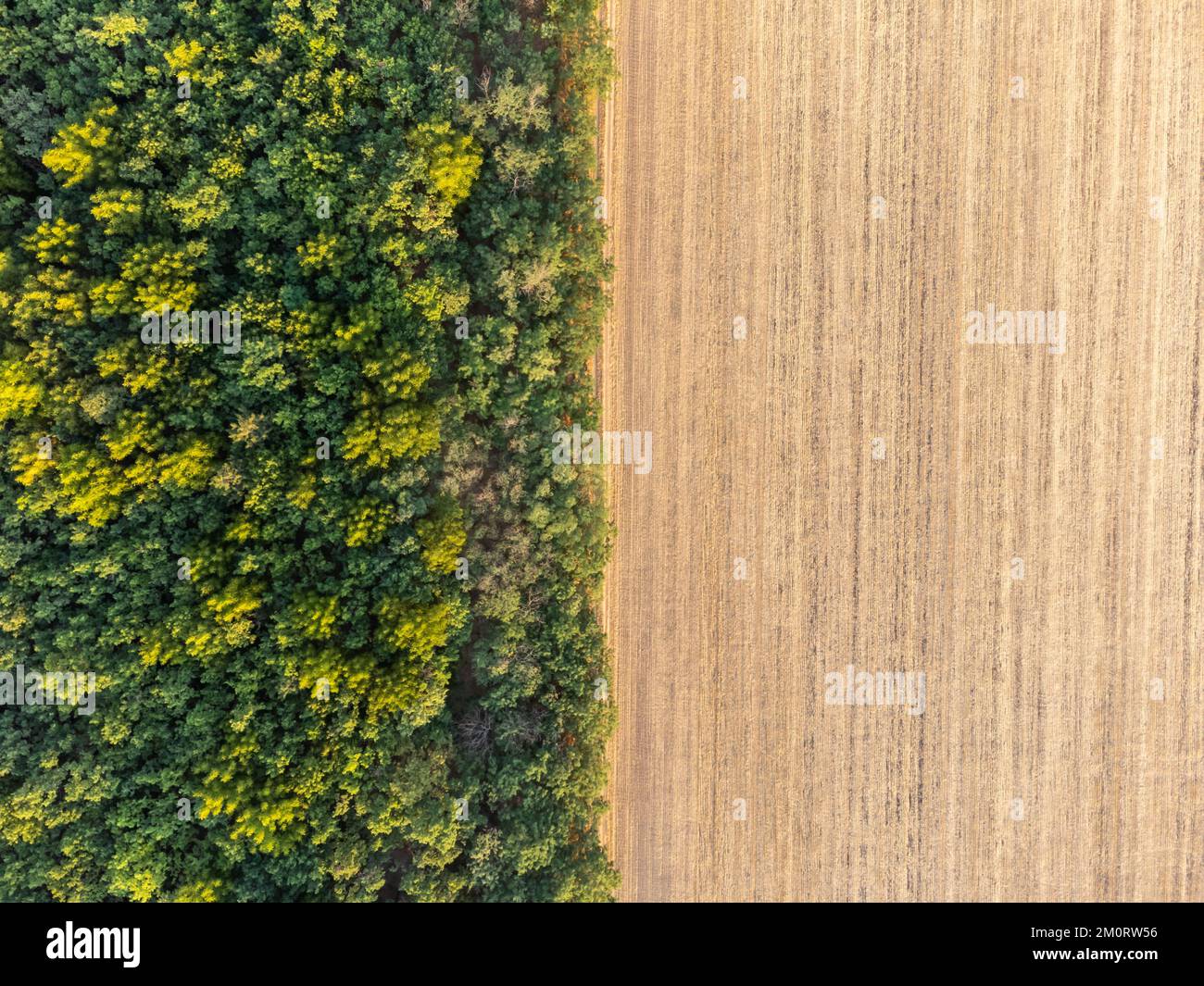 An aerial view of road surrounded by dense trees Stock Photo - Alamy