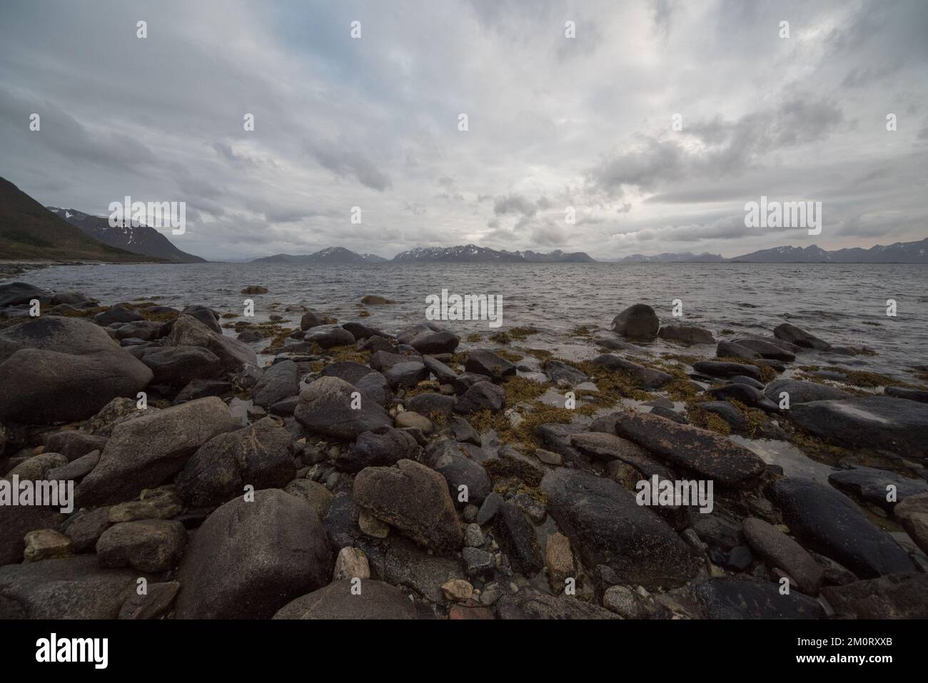 Andøya is a Vesterålen island covered with bogs and arctic tundra in its centre and boulders along the coast. Stock Photo