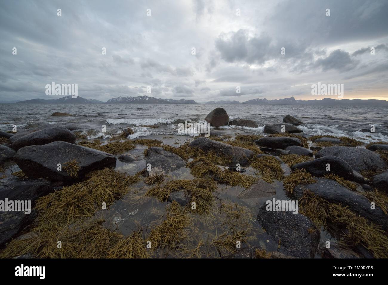 Andøya is a Vesterålen island covered with bogs and arctic tundra in its centre and boulders along the coast. Stock Photo