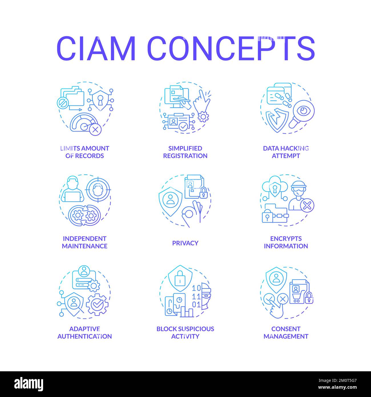 CIAM blue gradient concept icons set Stock Vector