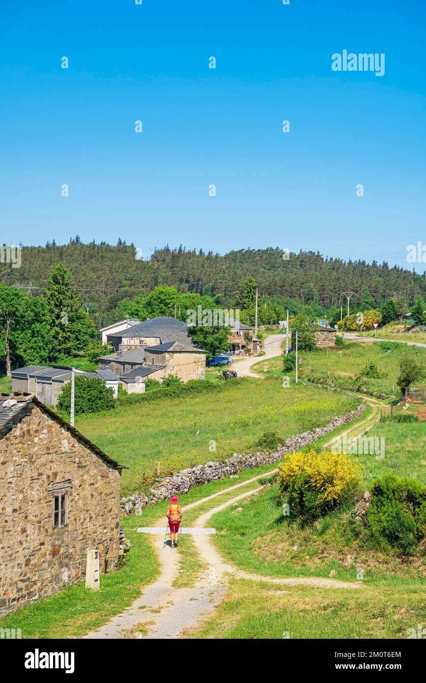 Spain, Galicia, municipality of A Fonsagrada, Fonfria hamlet, hike on the Camino Primitivo, Spanish pilgrimage route to Santiago de Compostela Stock Photo