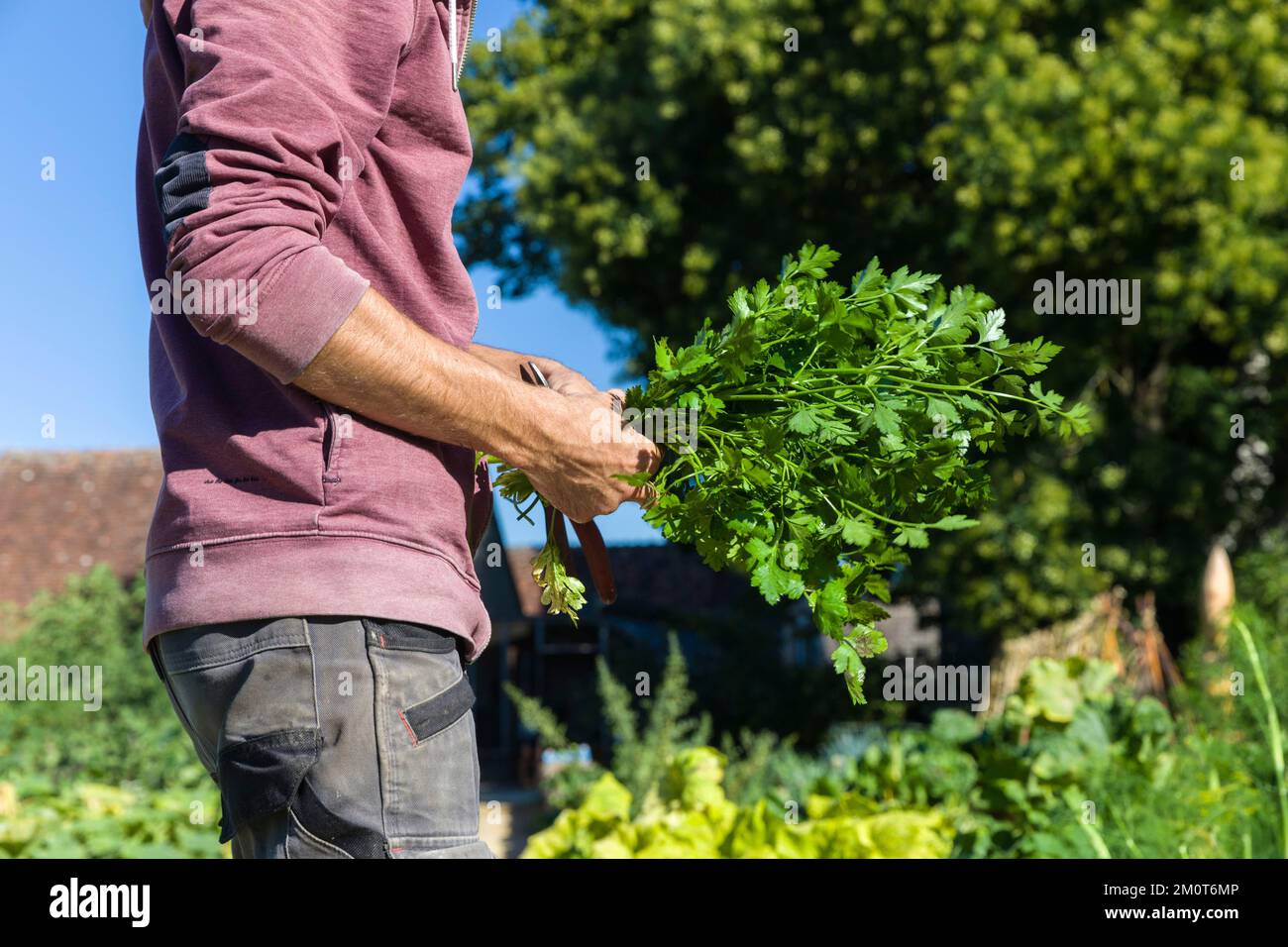 France, Indre et Loire, Ch?digny, village labeled remarkable garden
