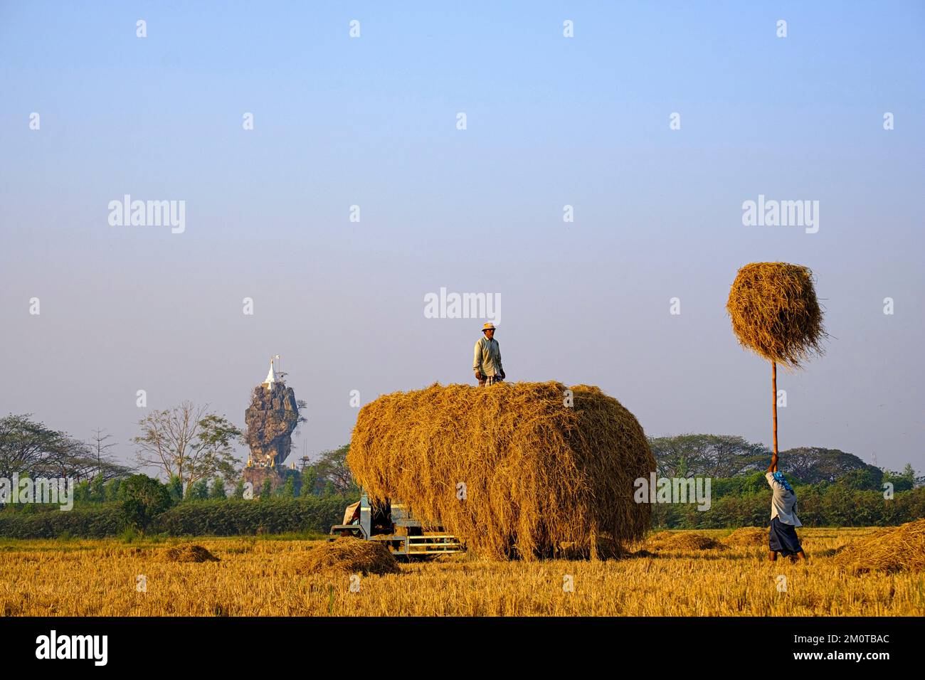 Myanmar, Burma, Karen state, Hpa An, rice-field in karstic landscape ...