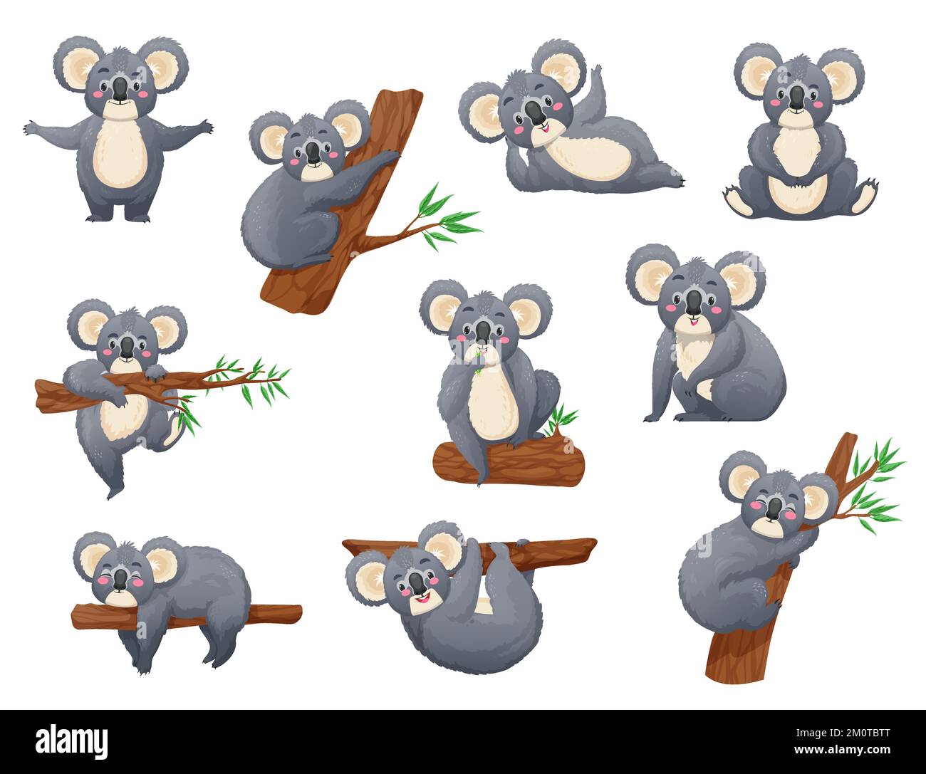 Cartoon funny koala bear characters. Australia jungle wildlife, zoo