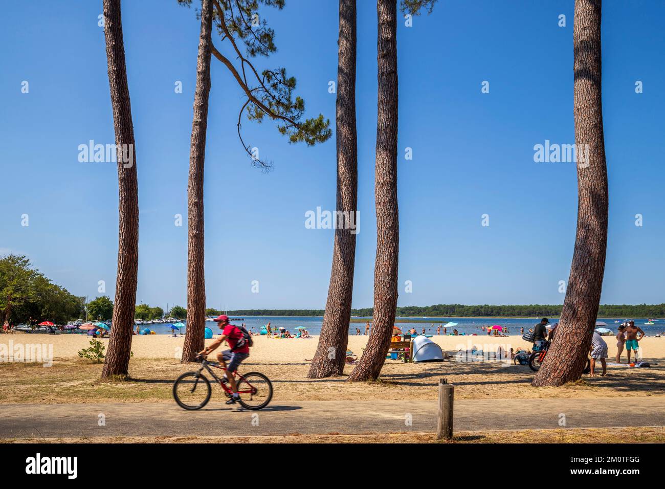 France, Landes, Sanguinet, sandy beach of Etang de Cazaux and Sanguinet Stock Photo