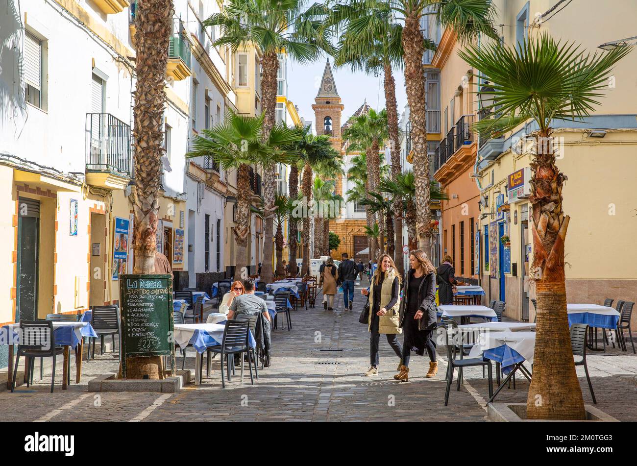Spain, Andalusia, Cadiz, La Vi?a district, women walking in a pedestrian street lined with restaurant terraces and palm trees Stock Photo