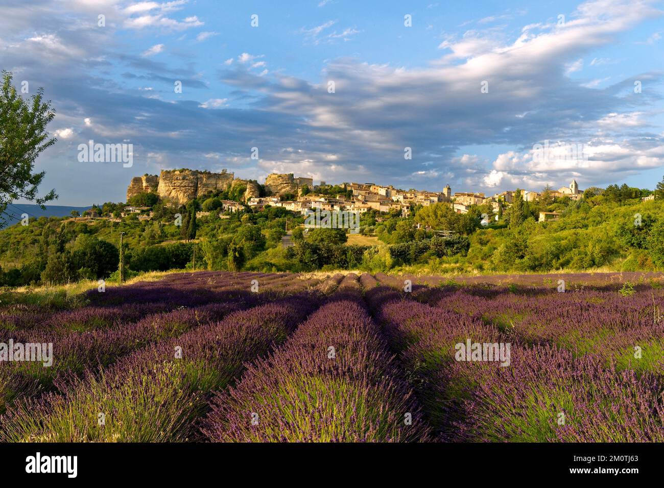 France, Vaucluse, Luberon regional nature park, Saignon, perched ...