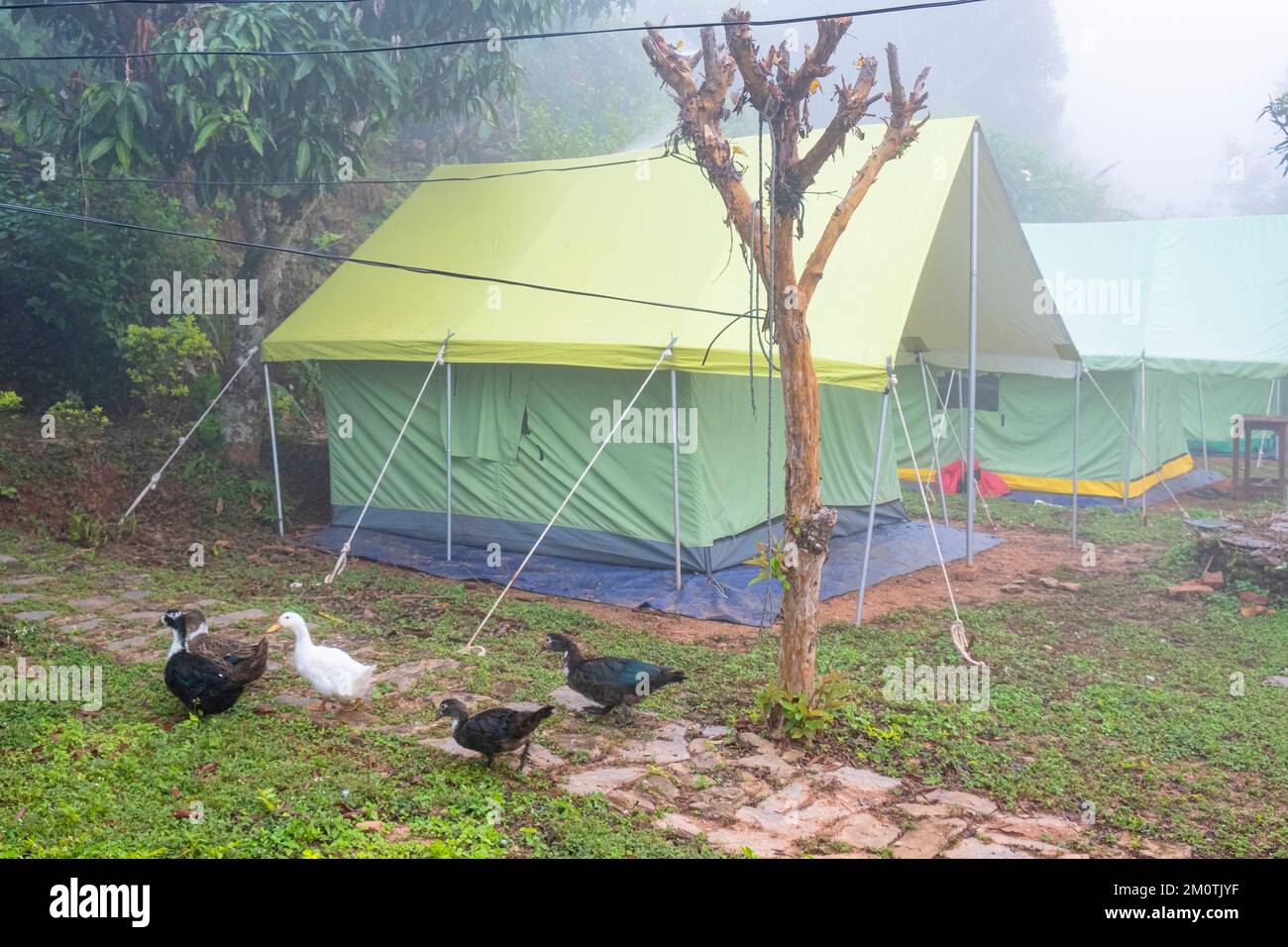Nepal, Nuwakot, ecofriendly lodge The Famous Farm, renovated in an old