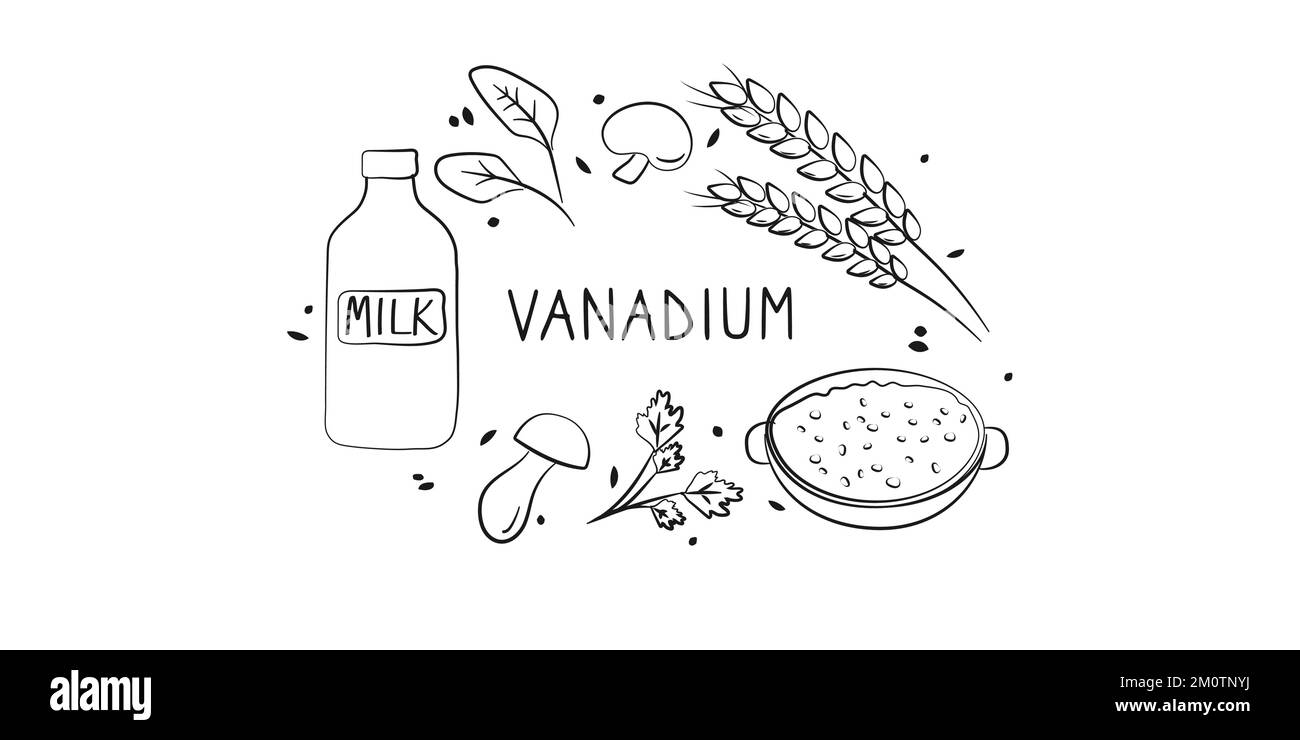 Vanadiumcontaining food. Groups of healthy products containing