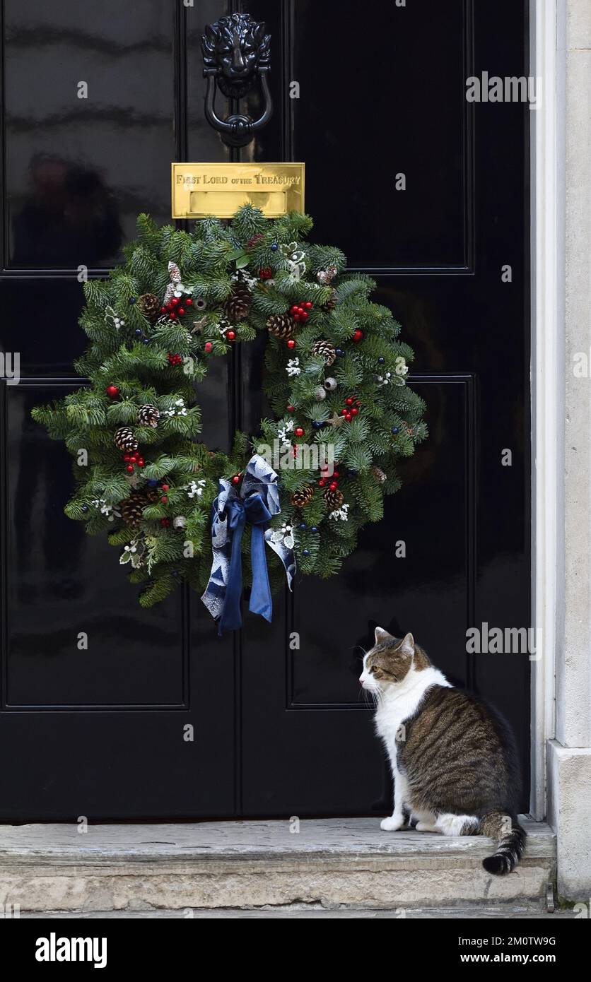 Larry the Cat - Chief Mouser to the Cabinet Office since 2011 - in Downing Street Stock Photo
