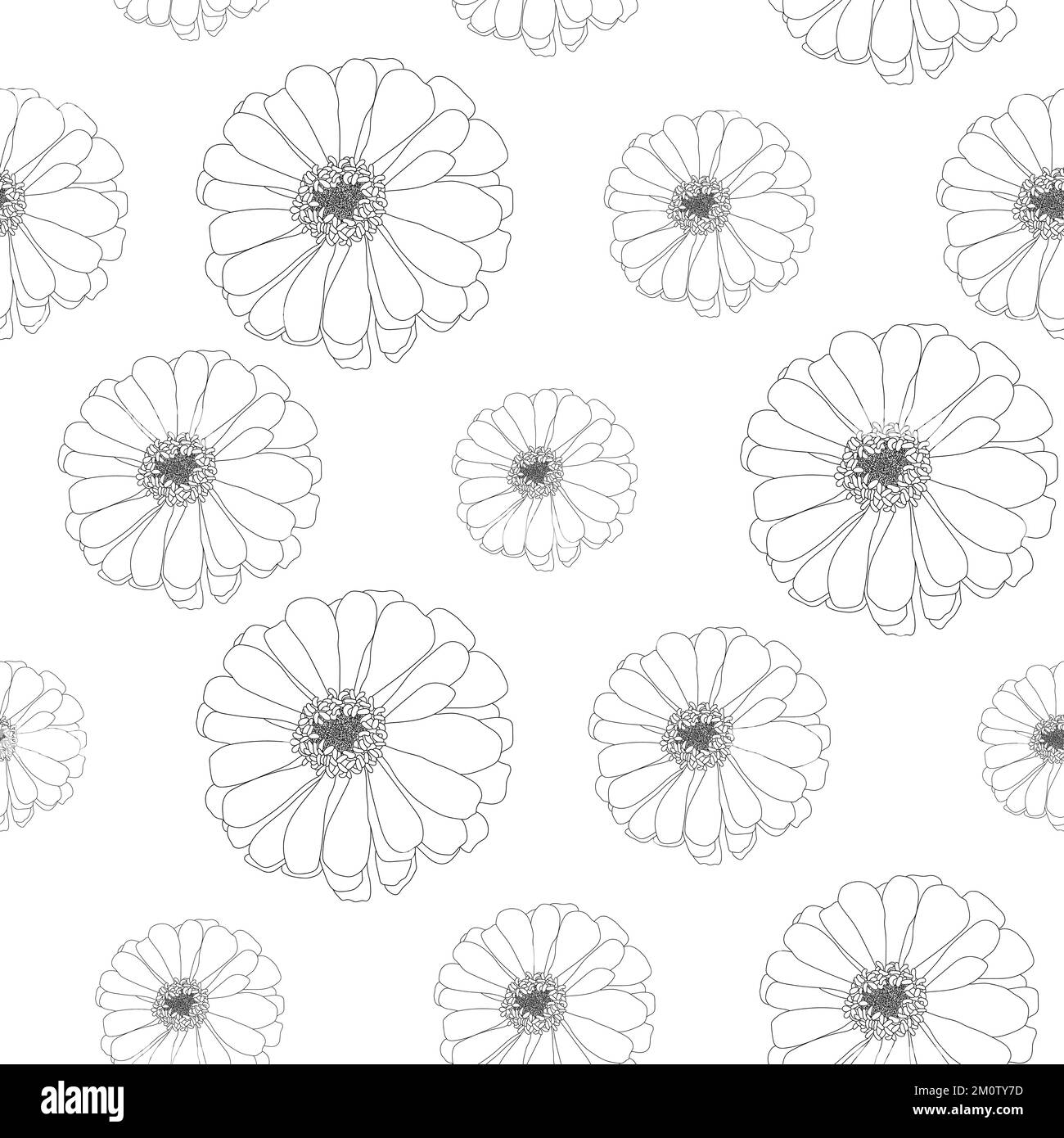 Black line hand-drawn flowers vector isolated seamless pattern Stock ...