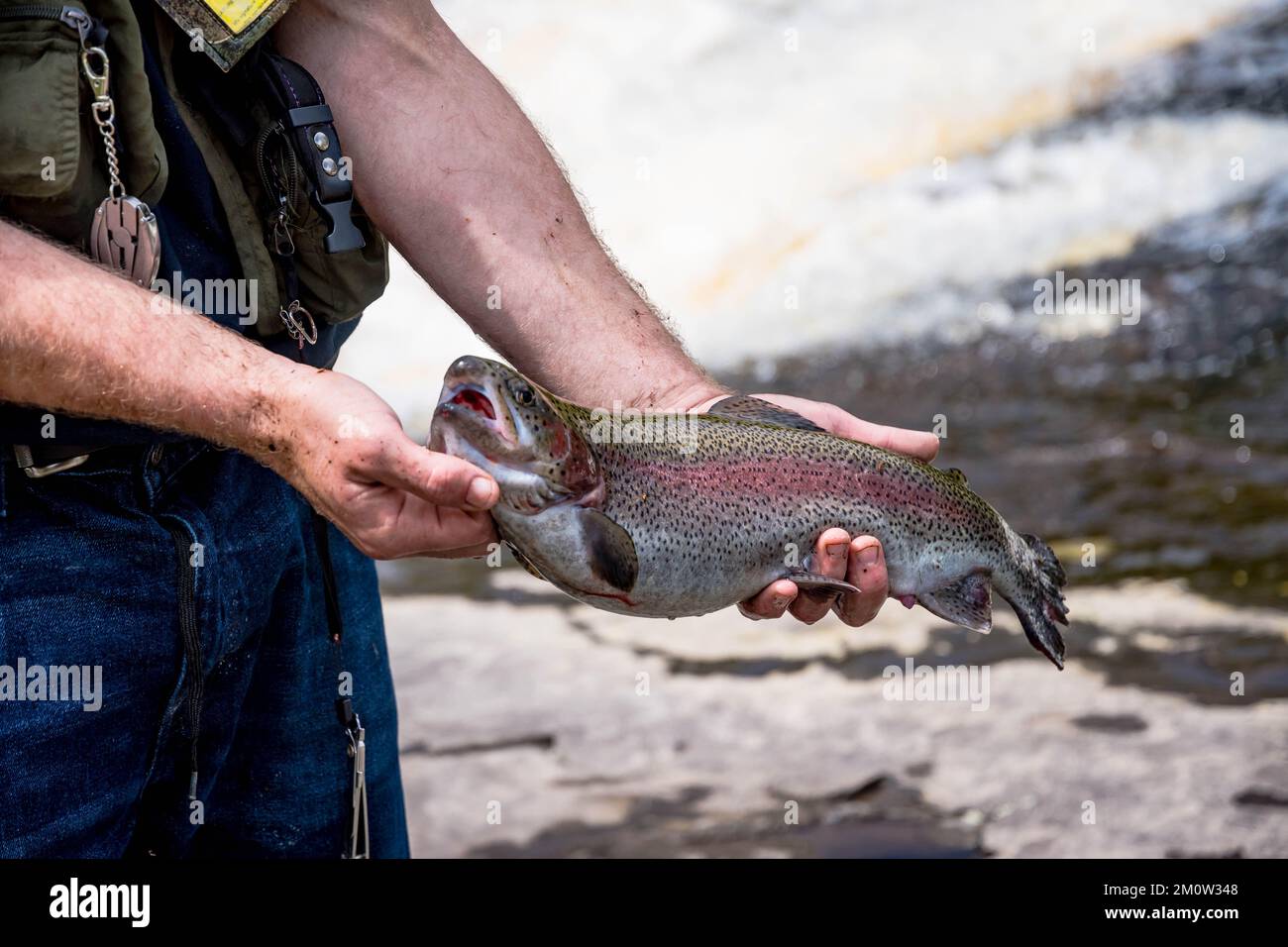 Holding great summer catch, bass fishing, fun day on the lake, fishing lure in the mouth Stock Photo