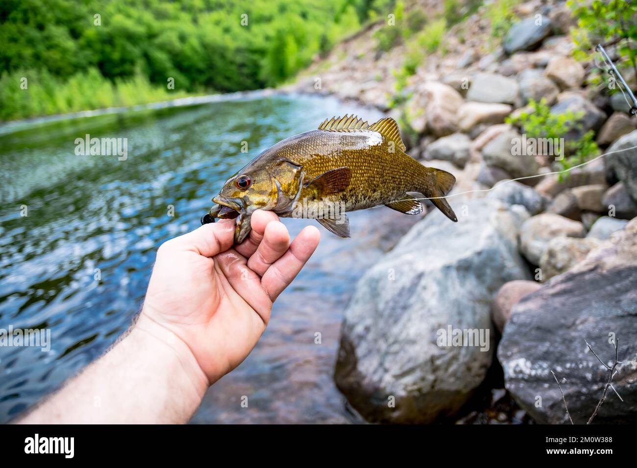 Holding great summer catch, bass fishing, fun day on the lake, fishing lure in the mouth Stock Photo
