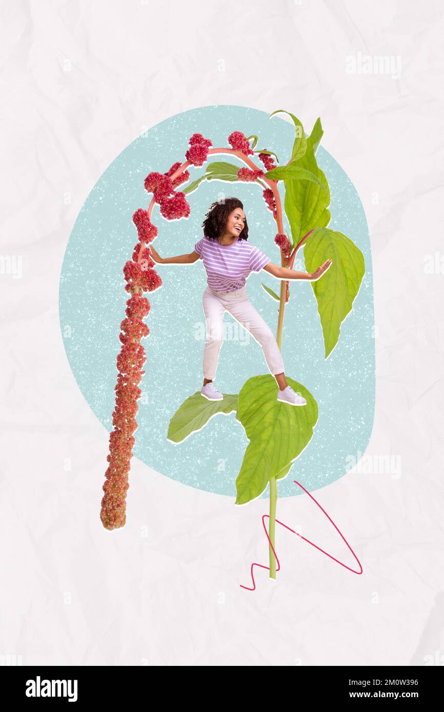 Vertical collage picture of excited positive girl stand balancing flower plant leaf isolated on drawing background Stock Photo
